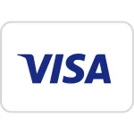 Visa SVG Icon
